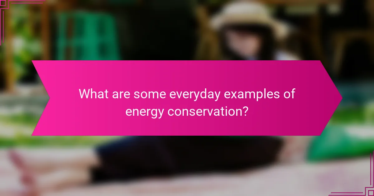What are some everyday examples of energy conservation?