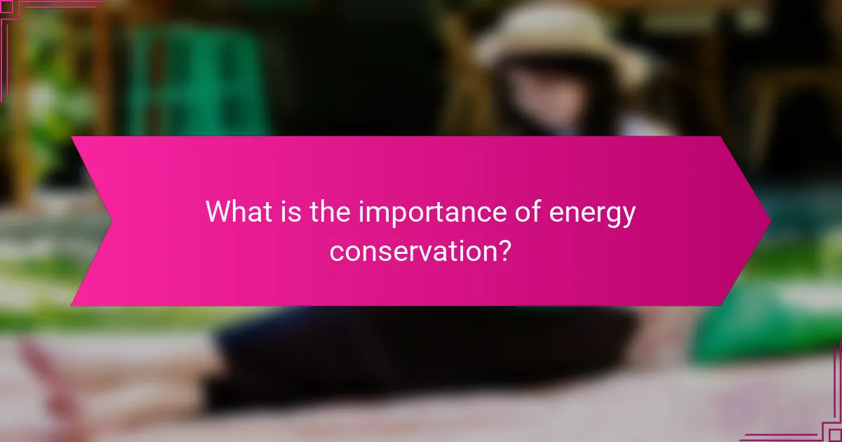 What is the importance of energy conservation?